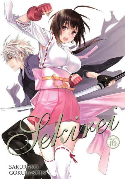 Cover of Vol. 16