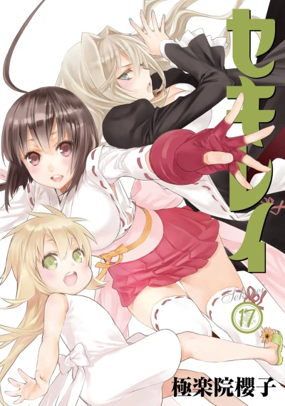Cover of Vol. 17