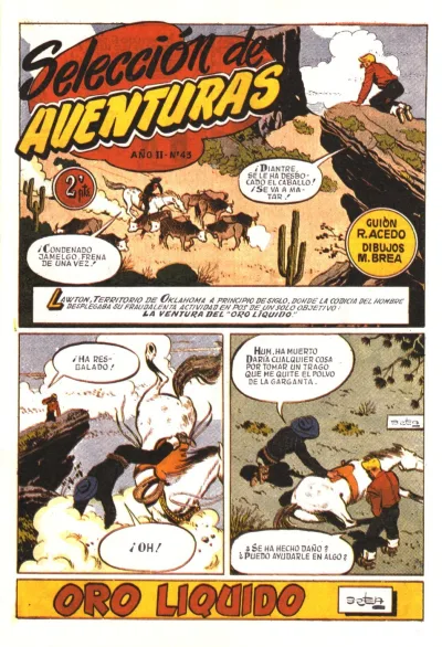 Cover of Issue #43