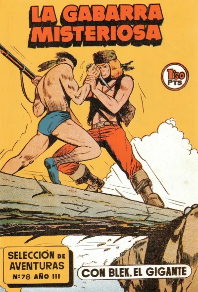 Cover of Issue #78