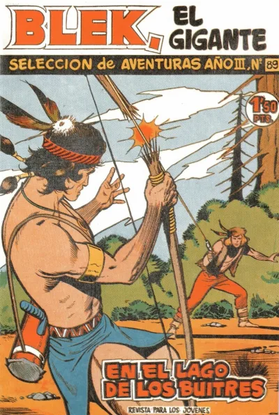 Cover of Issue #89
