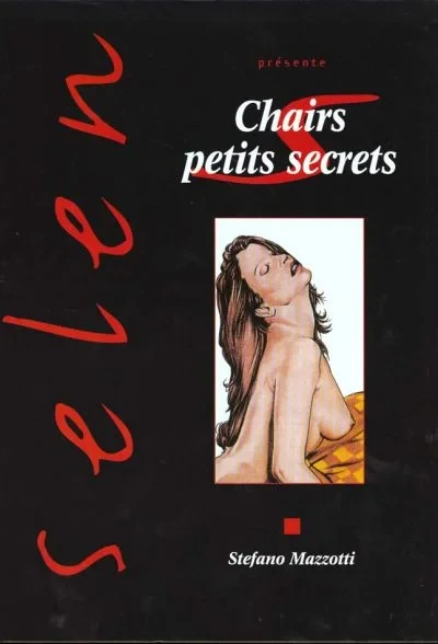 Cover of Chairs petits secrets