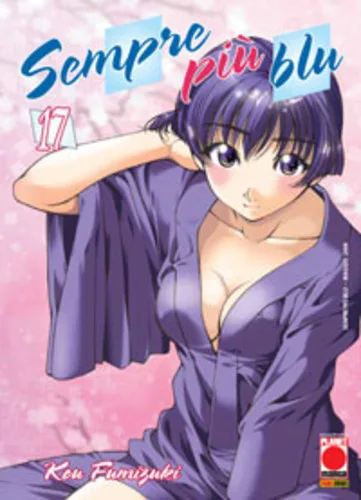 Cover of Issue #17