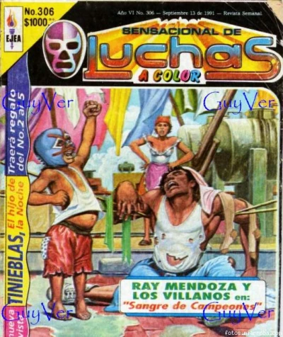 Cover of Ray Mendoza y los Villanos en: "Sangre de Campeones"