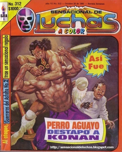 Cover of Perro Aguayo Destapò a Konan
