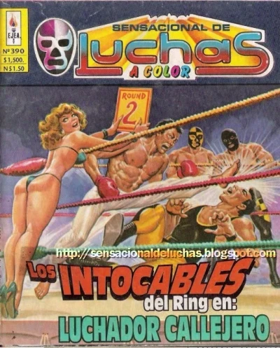 Cover of Los Intocables del Ring en: Luchador Callejero
