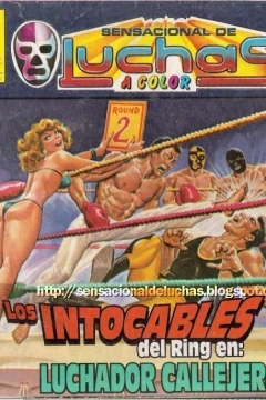 Los Intocables del Ring en: Luchador Callejero