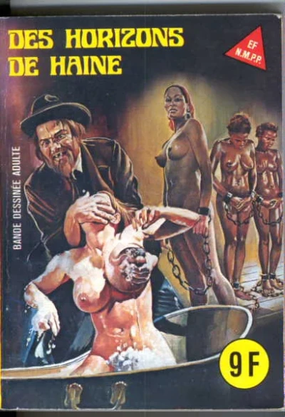 Cover of DES HORIZONS DE HAINE