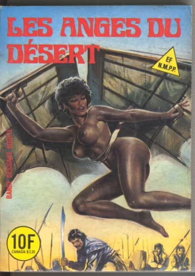 Cover of LES ANGES DU DESERT