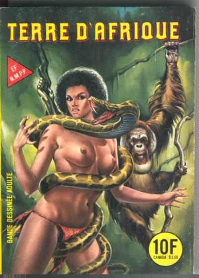 Cover of TERRE D'AFRIQUE