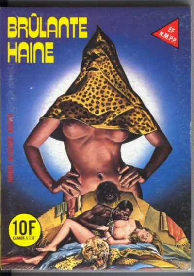 Cover of BRÛLANTE HAINE