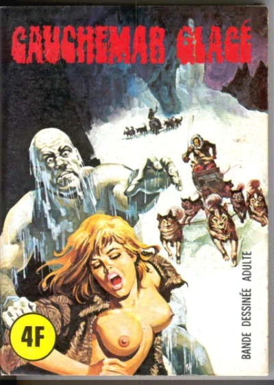 Cover of CAUCHEMAR GLACÉ