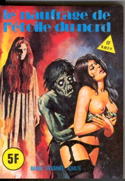 Cover of LE NAUFRAGE DE L'ETOILE DU NORD