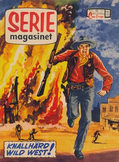 Cover of Issue #196033