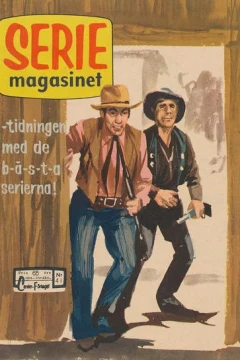 Issue #196041
