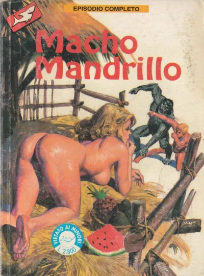 Cover of Issue #13