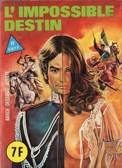 Cover of L'impossible destin