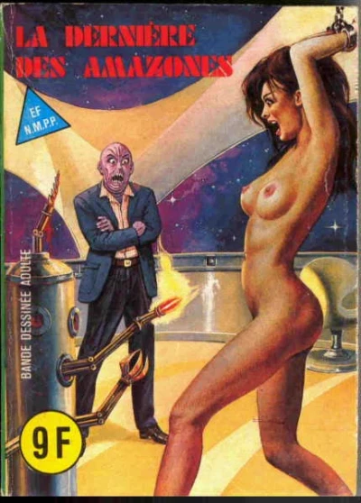 Cover of LA DERNIÈRE DES AMAZONES