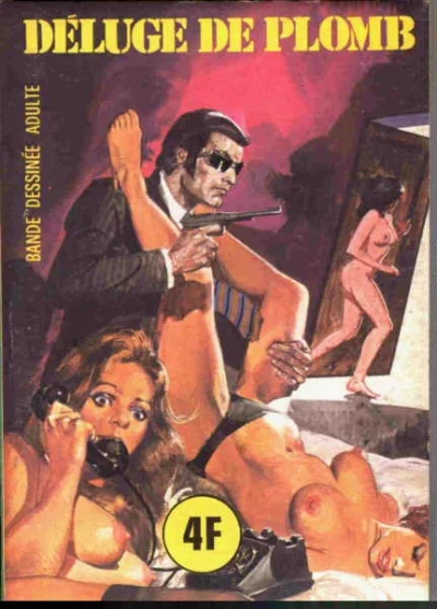 Cover of DÉLUGE DE PLOMB