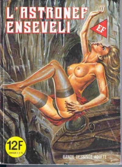 Cover of L'ASTRONEF ENSEVELI