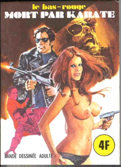 Cover of MORT PAR KARATÉ