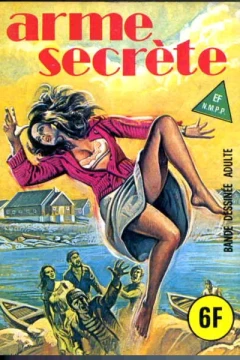 ARME SECRÈTE