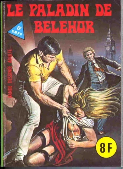 Cover of LE PALADIN DE BELEHOR