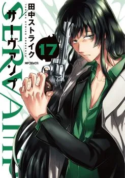 Cover of Volume 17