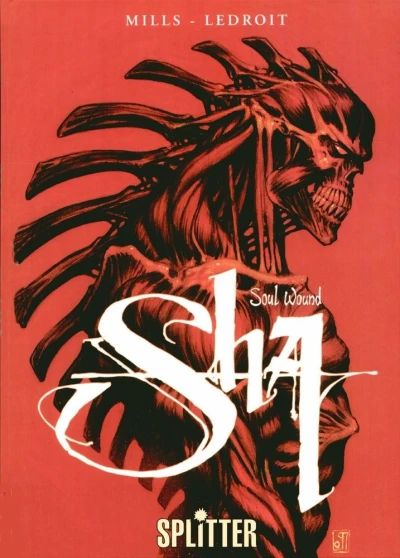 Cover of Soul Wound