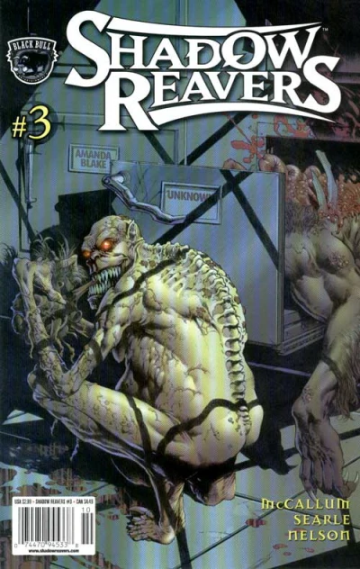 Cover of Echoes & Ashes 3: Revelation