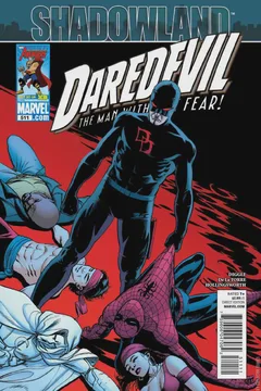 Shadowland: Part 4