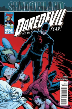 Shadowland: Part 4