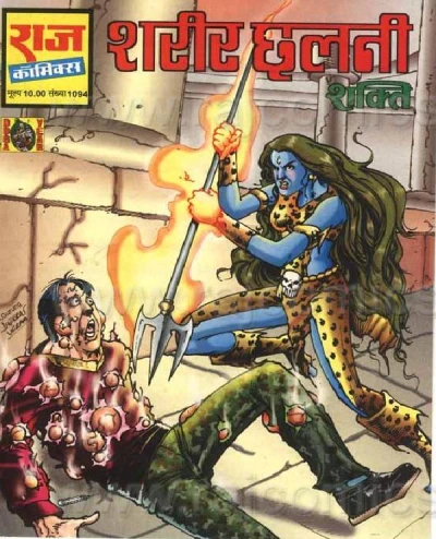Cover of Shareer Chhalni