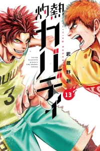 Vol. 13