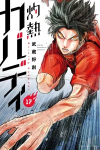 Vol. 17