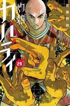 Vol. 29