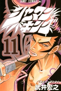 Vol. 11
