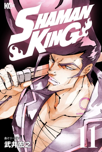 Cover of Vol. 11