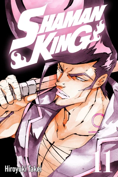 Cover of Volume 11