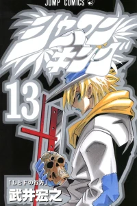 Vol. 13