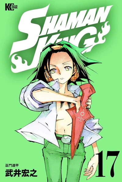 Cover of Vol. 17