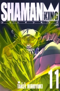 Volume 11