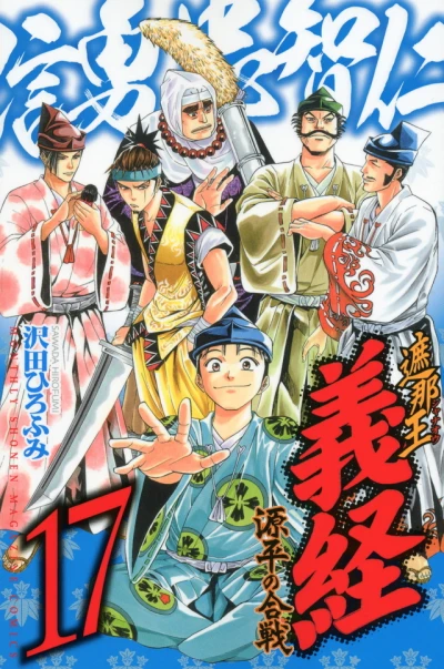 Cover of Vol. 17