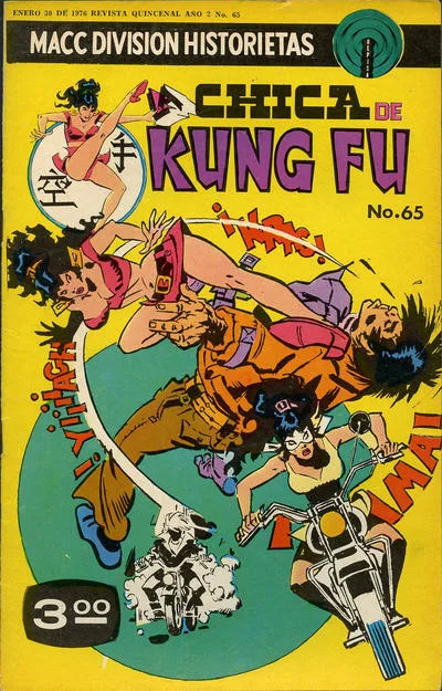 Cover of Issue #65