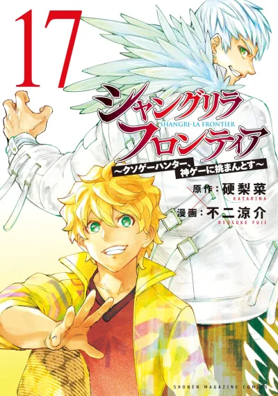 Cover of Volume 17