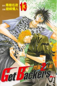 Vol. 13