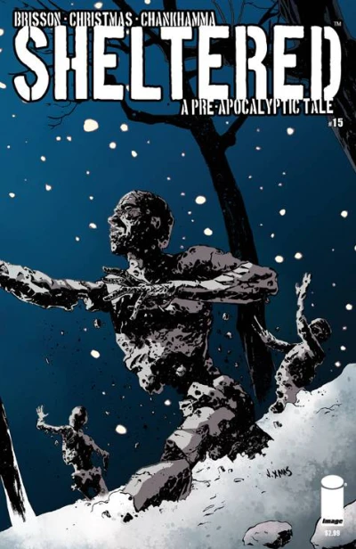 Cover of Issue #15