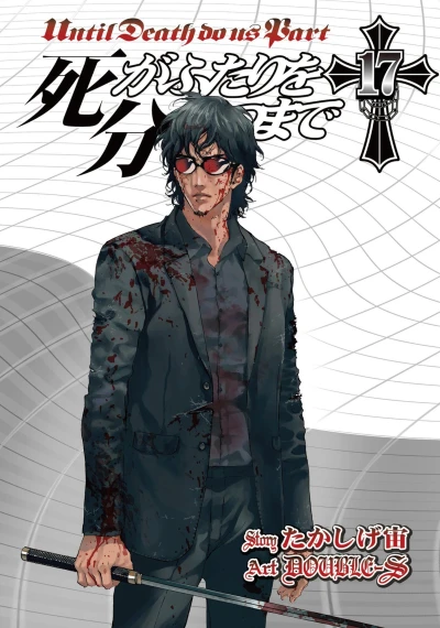 Cover of Volume 17
