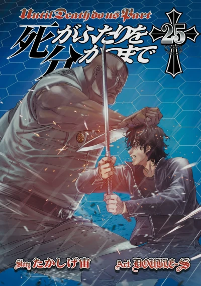 Cover of Volume 25