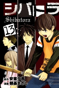 Volume 13